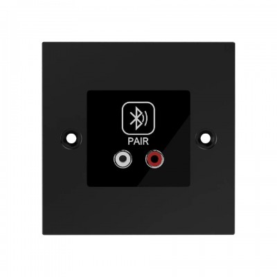 AmiD2w INTERFAZ DANTE CON BLUETOOTH 5.0 ENTRADA RCA