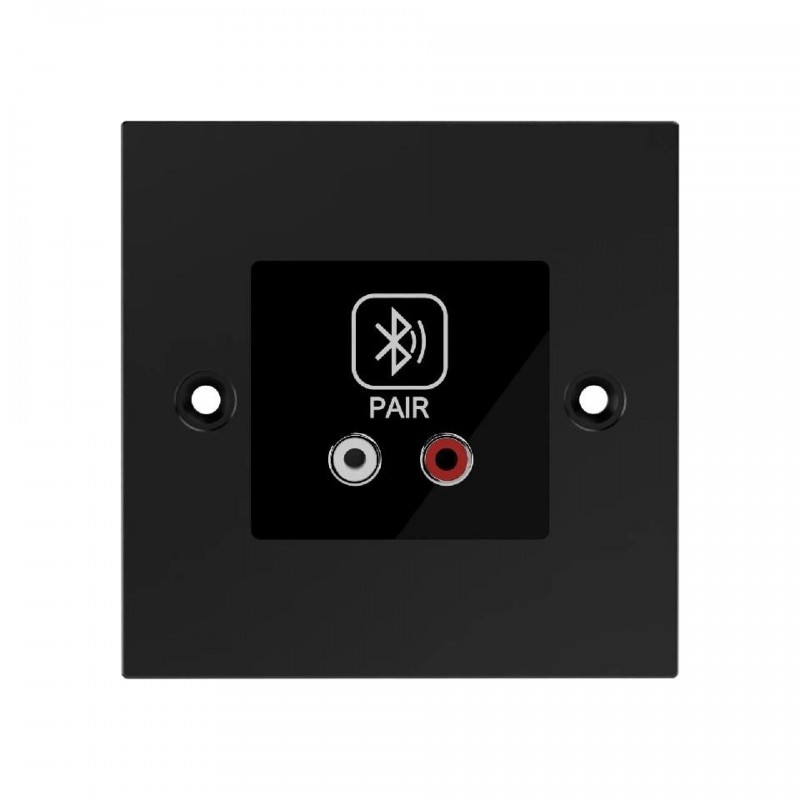 AmiD2w INTERFAZ DANTE CON BLUETOOTH 5.0 ENTRADA RCA