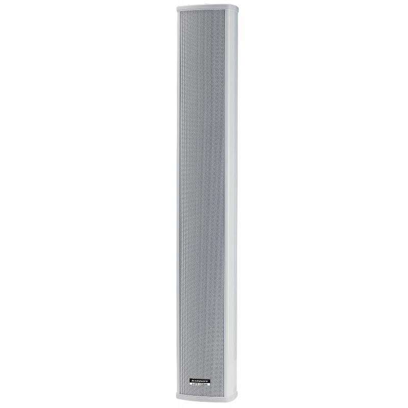 CLS880 COLUMNA 2 VÍAS 8x2.5\" 40 /80W 100V IP44 AUDIOPHONY