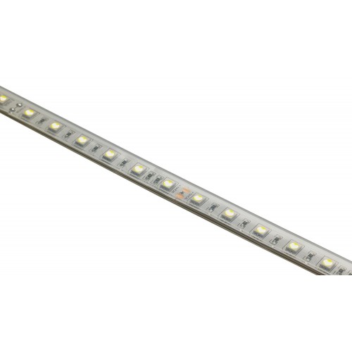 TIRA LED 3000K 60 LED/m 5050 24V IP67 5m CONTEST
