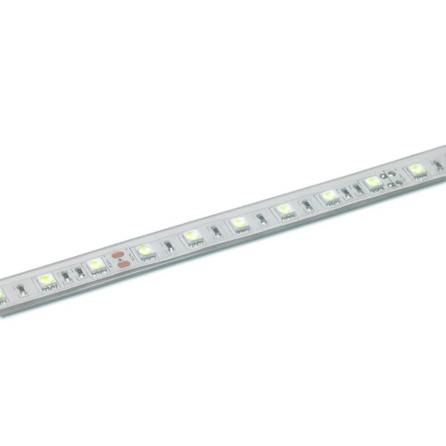 TIRA LED 6000K 60 LED/m 5050 24V IP67 5m CONTEST