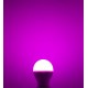 BOMBILLA E27 6W RGB+CCT LED MIBOXER