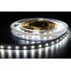 TIRA LED FLEX RGB+W 6500K 5m 60 LED/m 5050 12V IP33 MPL